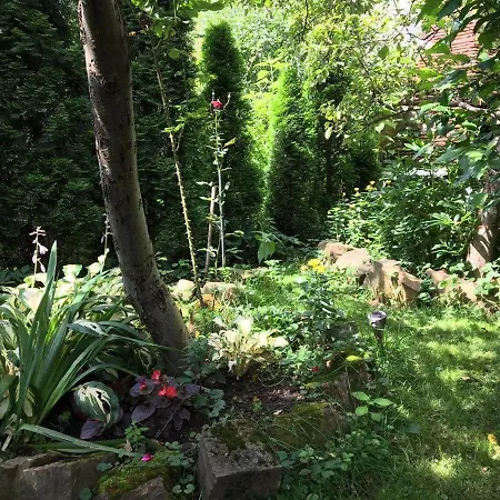 Chalet Usadba Bilya Richky