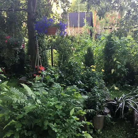 Usadba Bilya Richky *