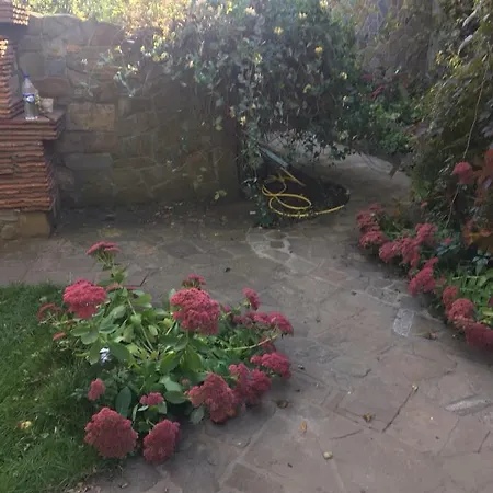 Chalet Usadba Bilya Richky