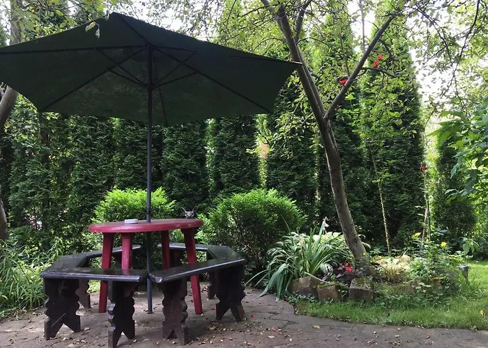 Usadba Bilya Richky Domek alpejski *