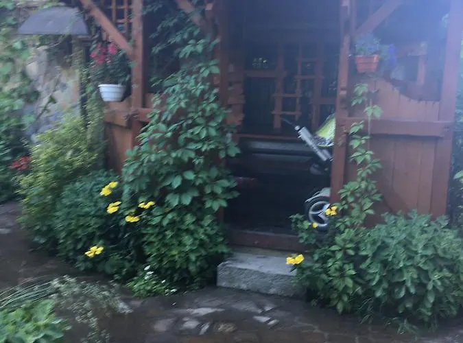 Usadba Bilya Richky Domek alpejski