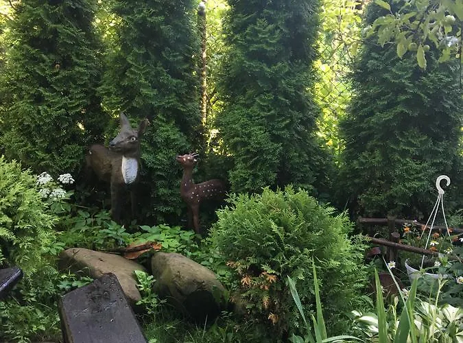 Domek alpejski Usadba Bilya Richky