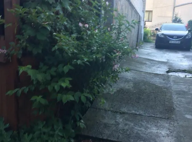 Usadba Bilya Richky Domek alpejski *