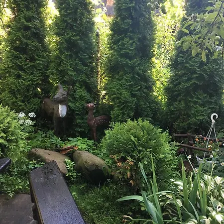 Chalé Usadba Bilya Richky